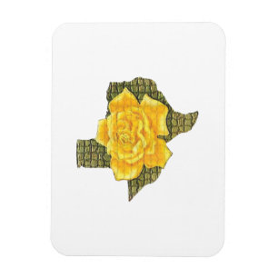 Awesome Yellow Rose Of Texas Pattern Flower  Magnet