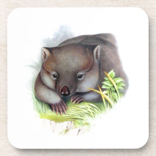 Awesomely cute Australian animal wombat vintage Coaster