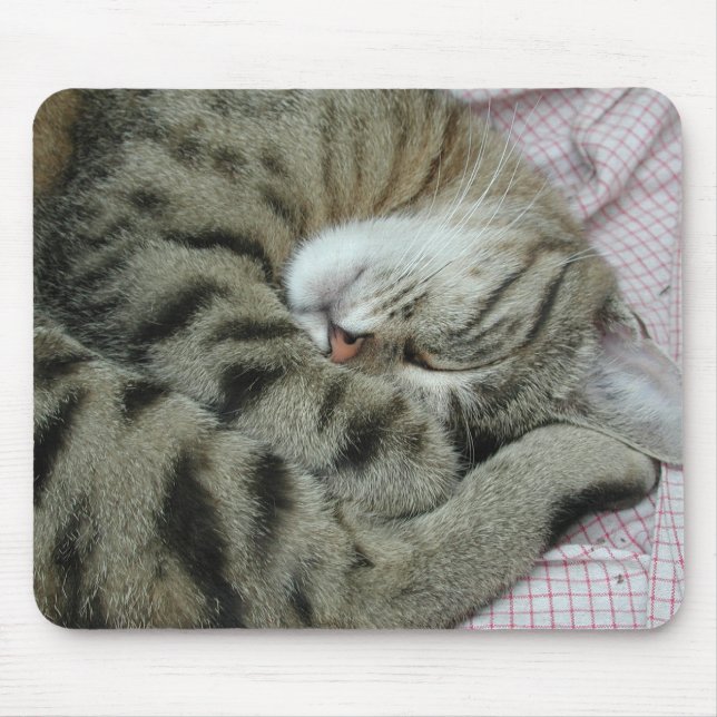 Awkward Cat Sleeping Position Mouse Pad (Front)