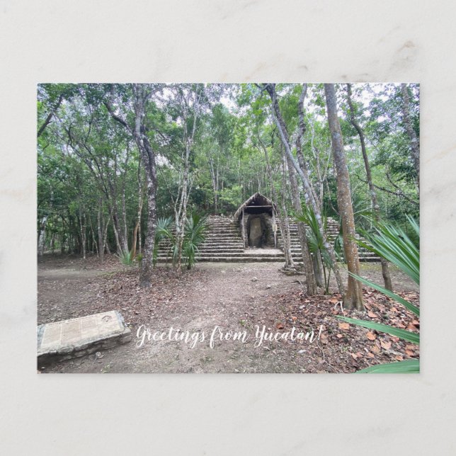 aWorld2Celebrate: Greetings from Yucatán!  Postcard (Front)