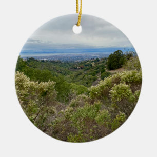 aWorld2Celebrate: Hayward, CA Ceramic Ornament