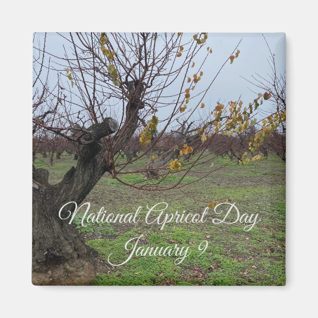 aWorld2Celebrate: National Apricot Day Magnet (Front)
