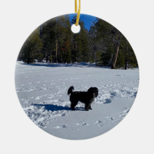 aWorld2Celebrate: Tahoe Snow Dog Ceramic Ornament