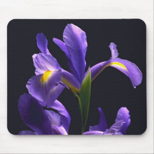 Awsome, purple Iris Mouse Pad