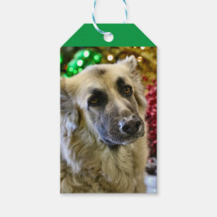 Aww Gift Tags