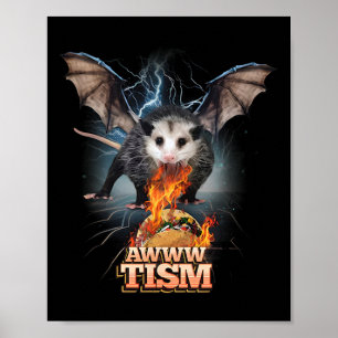 Awww Tism Funny Opossum T Spit Fire Opossum Meme A Poster