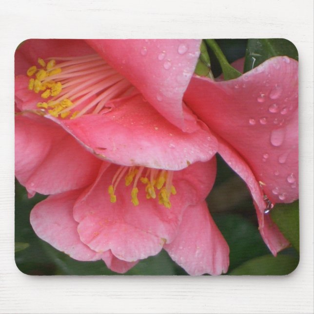 AX- Pink Camelia flower mousepad (Front)