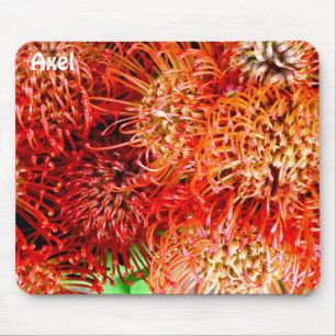 AXEL ~ Personalised Striking Banksia ~ Mouse Pad