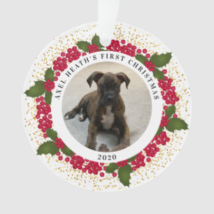 Axel's First Christmas Ornament