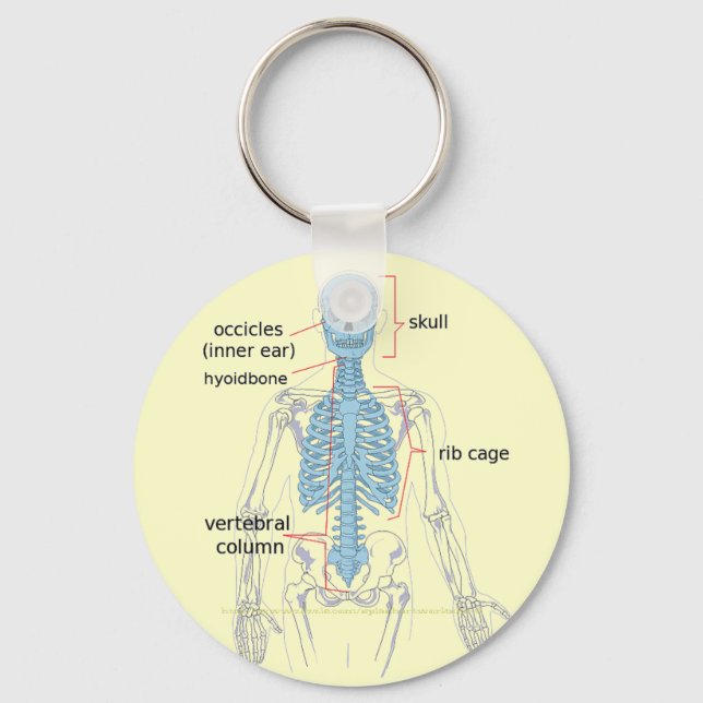 Axial skeleton diagram for medical students key ring (Front)