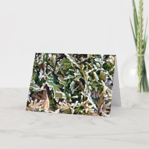 Axial Tilt Holiday Card