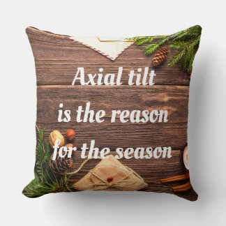 "Axial tilt is the reason for the season" pillow