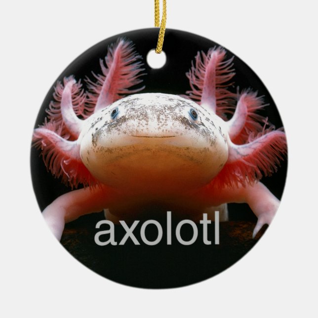 Axolotl Axolotl Axolotl Axolotl Ceramic Ornament (Front)