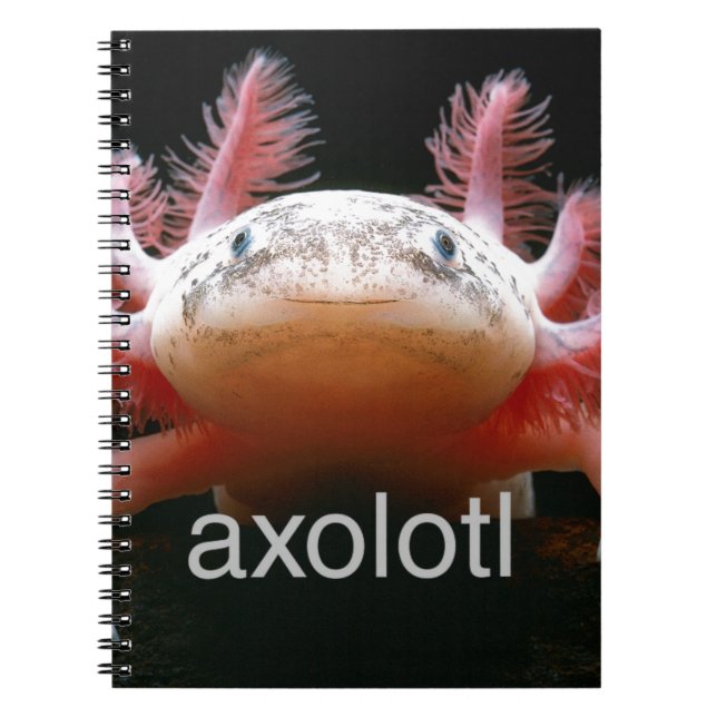 Axolotl Axolotl Axolotl Axolotl Notebook (Front)