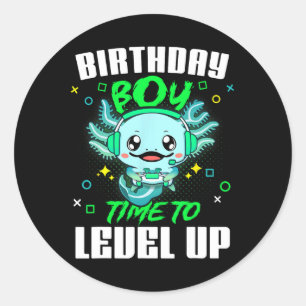 Axolotl Birthday Boy Time To Level Up Gamer Birthd Classic Round Sticker