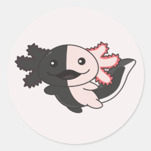 Axolotl Different Types Of Axolotls Cute Animals C Classic Round Sticker
