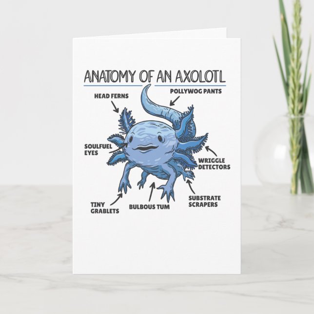 Axolotl Explanation Anatomy Of An Axolotl Card (Front)