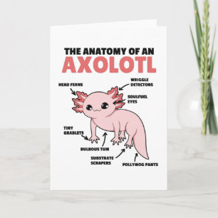 Axolotl Explanation Anatomy Of An Axolotl Card