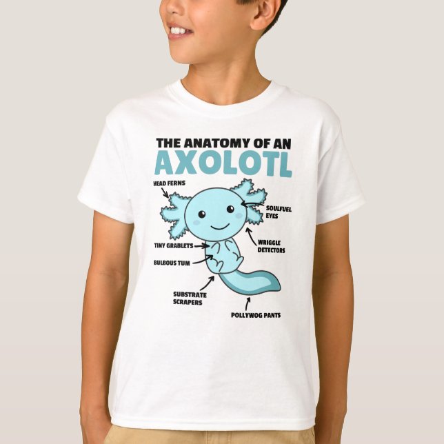 Axolotl Explanation Anatomy Of An Axolotl T-Shirt (Front)