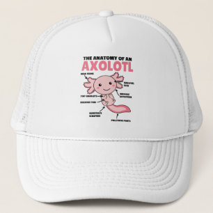 Axolotl Explanation Anatomy Of An Axolotl Trucker Hat