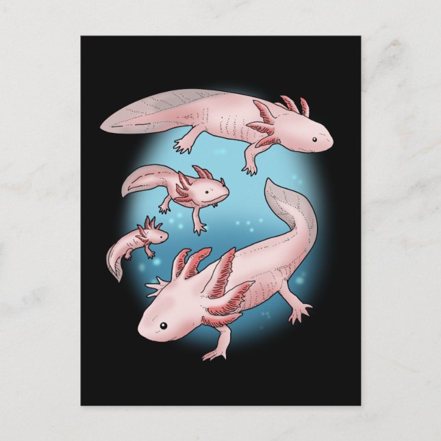 Axolotl Gift Kids Kawaii Axolotl Gifts Men Axolotl Postcard (Front)