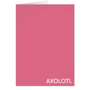 Axolotl pink colour name