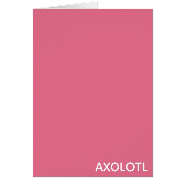 Axolotl pink colour name (Front)