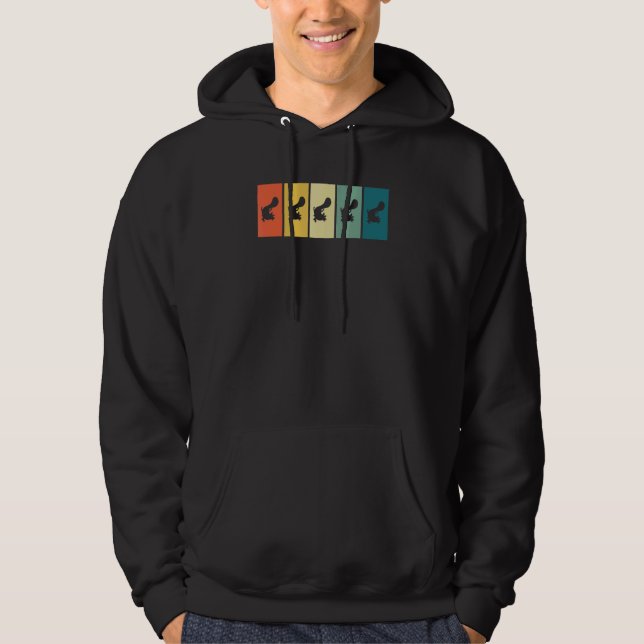 Axolotl Retro Sunset Axolotl Hoodie (Front)