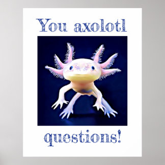 Axolotl Salamander Amphibian Poster