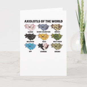 Axolotls From The World Sweet Animals Axolotl Card