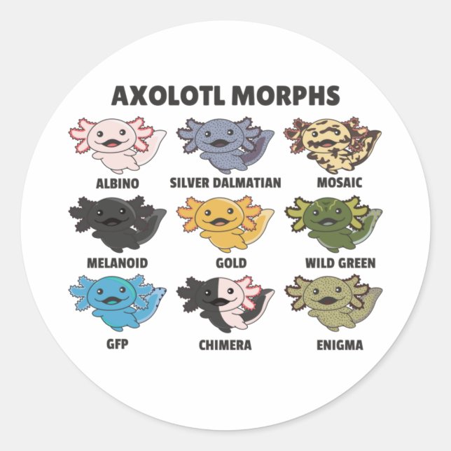 Axolotls From The World Sweet Animals Axolotl Clas Classic Round Sticker (Front)
