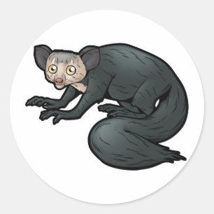 Aye-Aye Classic Round Sticker