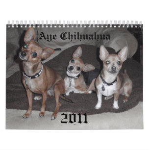 Aye Chihuahua 2011 Calendar