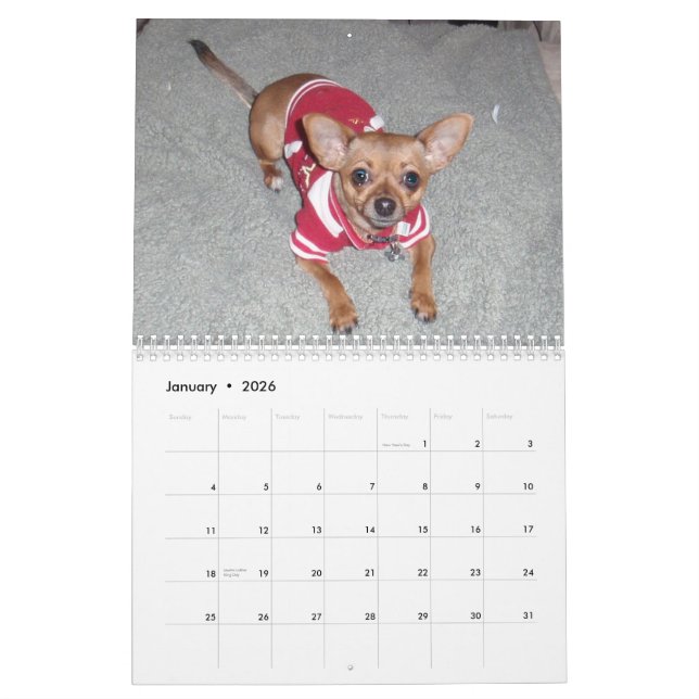 Aye Chihuahua 2011 Calendar (Jan 2026)