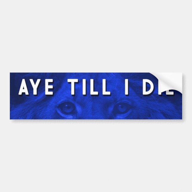AYE TILL I DIE BUMPER STICKER (Front)