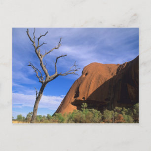 Ayers Rock Uluru in the Outback Australia Postcard