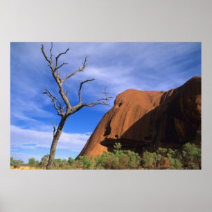 Ayers Rock Uluru in the Outback Australia Poster