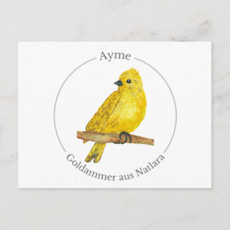 Ayme - Goldammer aus Natlara Holiday Postcard