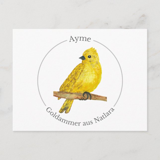 Ayme -  Goldammer aus Natlara Holiday Postcard (Front)