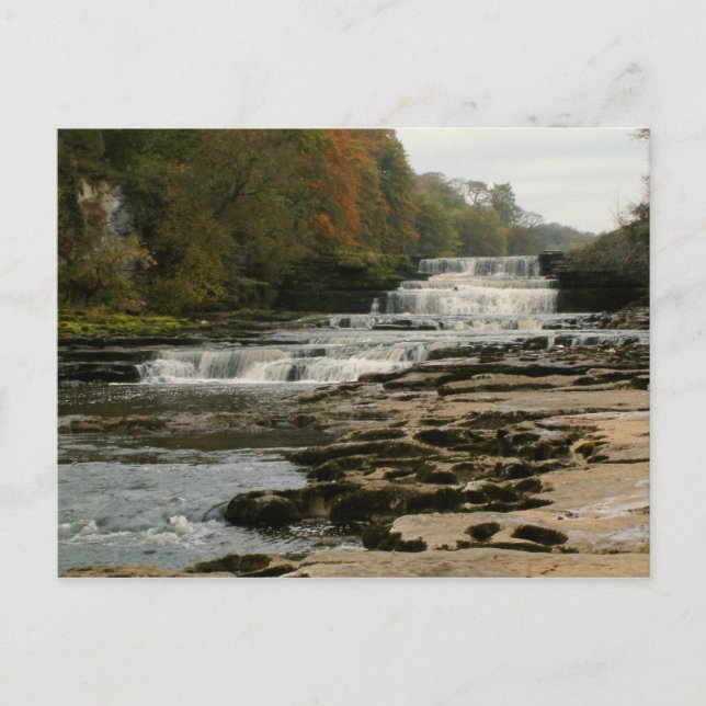 Aysgarth Lower Falls - Yorkshire Dales | Postcard (Front)