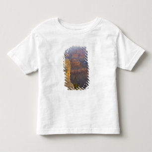 AZ, Arizona, Grand Canyon National Park, South 7 Toddler T-Shirt