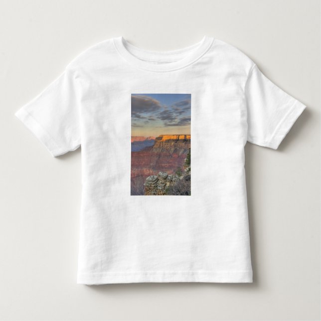 AZ, Arizona, Grand Canyon National Park, South Toddler T-Shirt (Front)