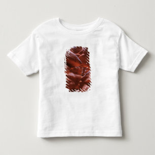 AZ, Arizona, Page, Upper Antelope Canyon Toddler T-Shirt