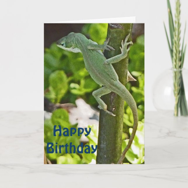 AZ- Chameleon Lizard Birthday Card (Front)