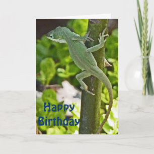 AZ- Chameleon Lizard Birthday Card