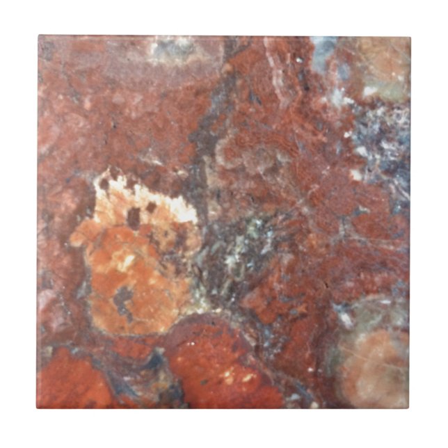 AZ Petrified Wood Tile (Front)