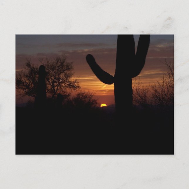 AZ sunset 1 Postcard (Front)