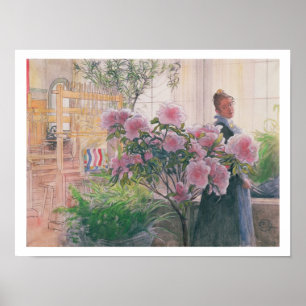 Azalea, 1906 (w/c on paper) poster