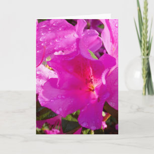 "Azalea 1." Greeting Card