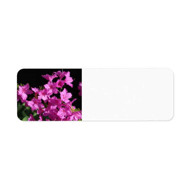 Azalea Address Label Return Address Label (Front)